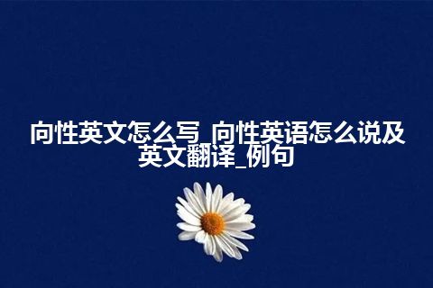 向性英文怎么写_向性英语怎么说及英文翻译_例句