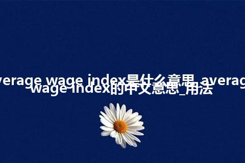 average wage index是什么意思_average wage index的中文意思_用法