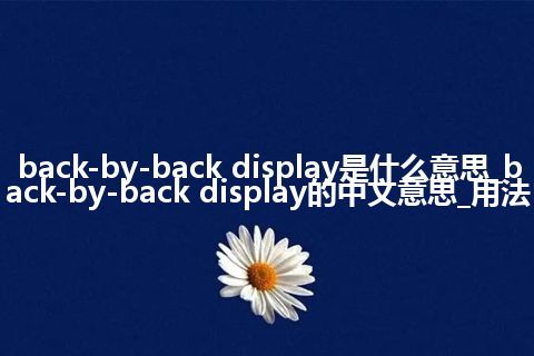 back-by-back display是什么意思_back-by-back display的中文意思_用法