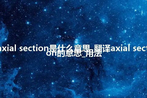 axial section是什么意思_翻译axial section的意思_用法