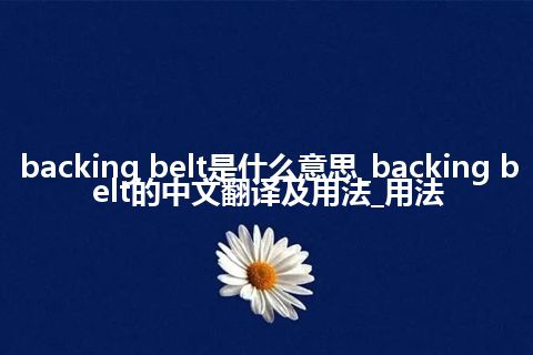 backing belt是什么意思_backing belt的中文翻译及用法_用法