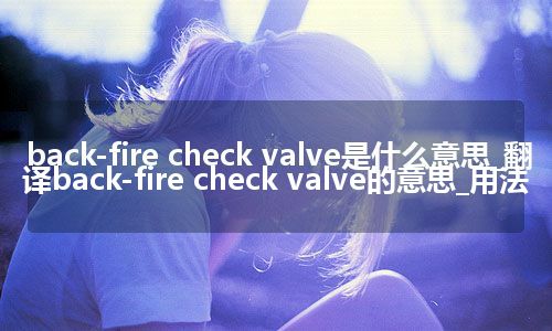 back-fire check valve是什么意思_翻译back-fire check valve的意思_用法