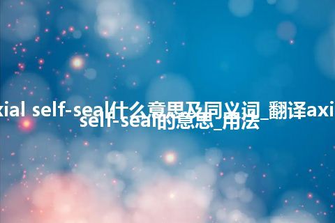 axial self-seal什么意思及同义词_翻译axial self-seal的意思_用法