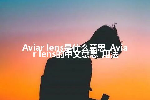 Aviar lens是什么意思_Aviar lens的中文意思_用法