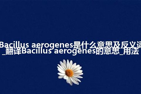 Bacillus aerogenes是什么意思及反义词_翻译Bacillus aerogenes的意思_用法