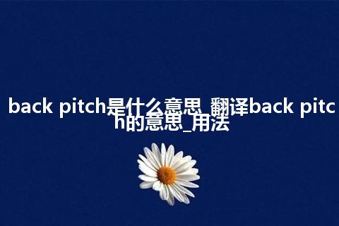 back pitch是什么意思_翻译back pitch的意思_用法