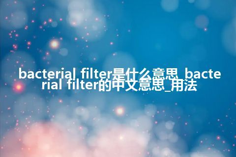 bacterial filter是什么意思_bacterial filter的中文意思_用法