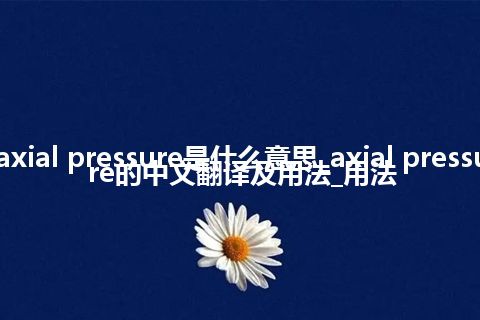 axial pressure是什么意思_axial pressure的中文翻译及用法_用法