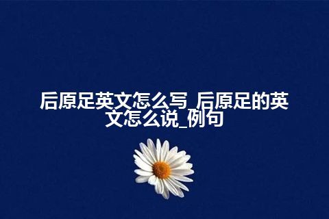 后原足英文怎么写_后原足的英文怎么说_例句