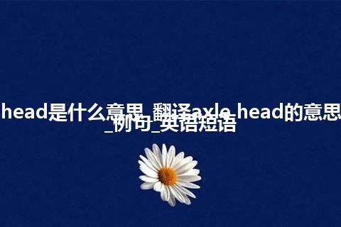 axle head是什么意思_翻译axle head的意思_用法_例句_英语短语