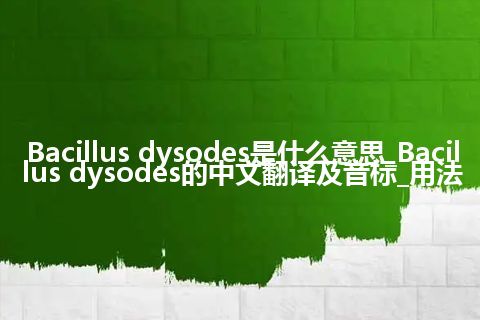 Bacillus dysodes是什么意思_Bacillus dysodes的中文翻译及音标_用法