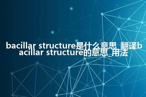 bacillar structure是什么意思_翻译bacillar structure的意思_用法