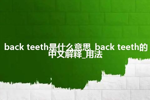 back teeth是什么意思_back teeth的中文解释_用法