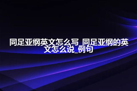 同足亚纲英文怎么写_同足亚纲的英文怎么说_例句