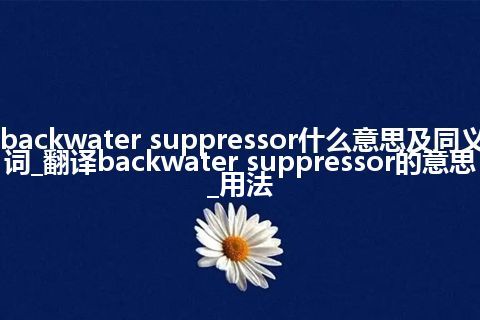 backwater suppressor什么意思及同义词_翻译backwater suppressor的意思_用法