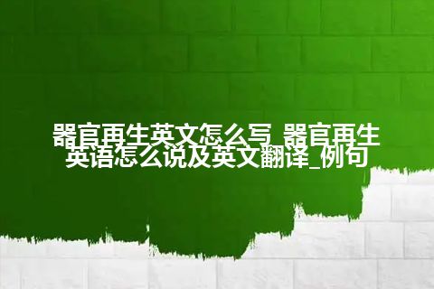 器官再生英文怎么写_器官再生英语怎么说及英文翻译_例句