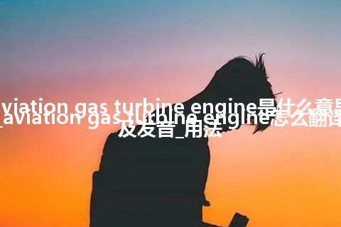 aviation gas turbine engine是什么意思_aviation gas turbine engine怎么翻译及发音_用法