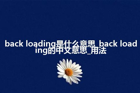 back loading是什么意思_back loading的中文意思_用法