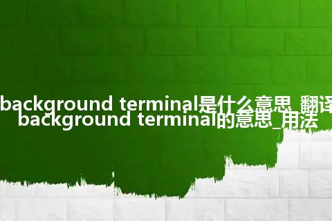 background terminal是什么意思_翻译background terminal的意思_用法