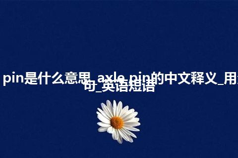 axle pin是什么意思_axle pin的中文释义_用法_例句_英语短语