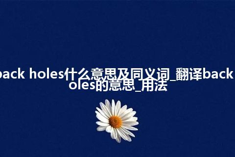 back holes什么意思及同义词_翻译back holes的意思_用法