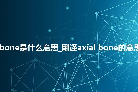 axial bone是什么意思_翻译axial bone的意思_用法