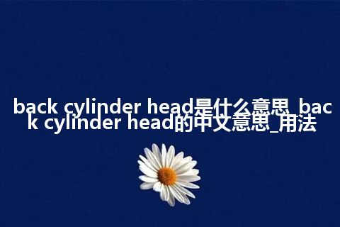 back cylinder head是什么意思_back cylinder head的中文意思_用法