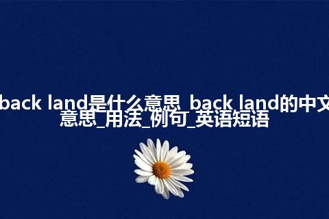 back land是什么意思_back land的中文意思_用法_例句_英语短语