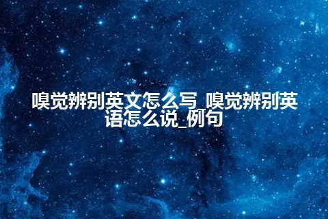 嗅觉辨别英文怎么写_嗅觉辨别英语怎么说_例句