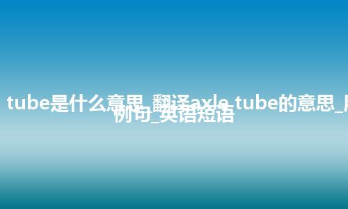 axle tube是什么意思_翻译axle tube的意思_用法_例句_英语短语