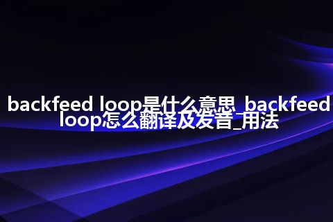 backfeed loop是什么意思_backfeed loop怎么翻译及发音_用法