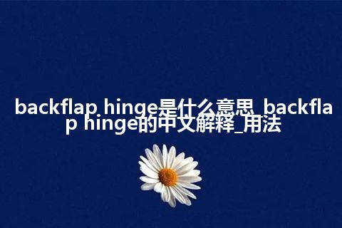 backflap hinge是什么意思_backflap hinge的中文解释_用法