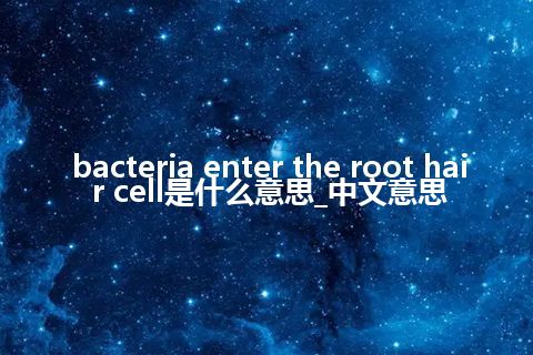 bacteria enter the root hair cell是什么意思_中文意思