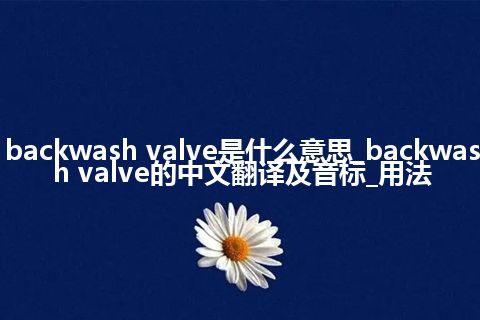 backwash valve是什么意思_backwash valve的中文翻译及音标_用法