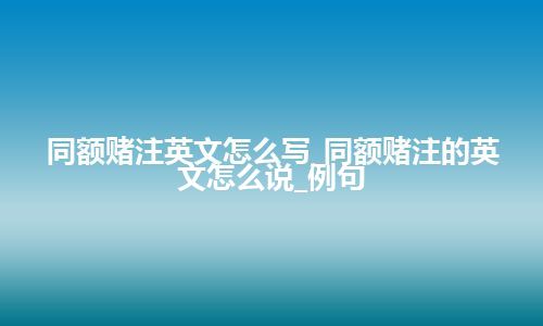 同额赌注英文怎么写_同额赌注的英文怎么说_例句