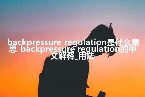 backpressure regulation是什么意思_backpressure regulation的中文解释_用法