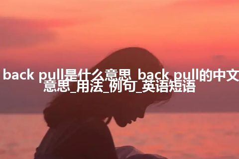 back pull是什么意思_back pull的中文意思_用法_例句_英语短语