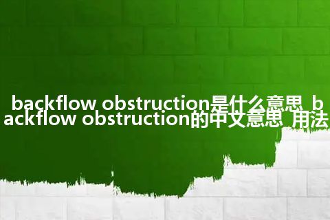 backflow obstruction是什么意思_backflow obstruction的中文意思_用法