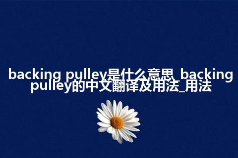 backing pulley是什么意思_backing pulley的中文翻译及用法_用法