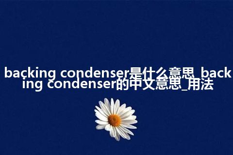 backing condenser是什么意思_backing condenser的中文意思_用法