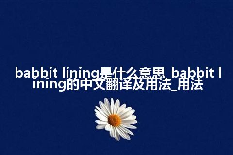 babbit lining是什么意思_babbit lining的中文翻译及用法_用法