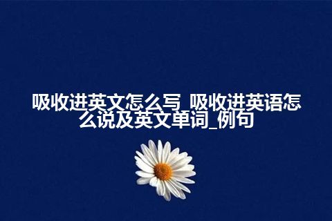 吸收进英文怎么写_吸收进英语怎么说及英文单词_例句