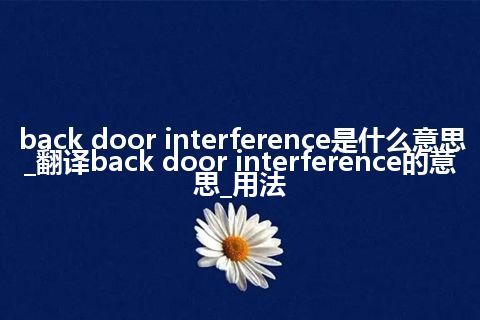 back door interference是什么意思_翻译back door interference的意思_用法