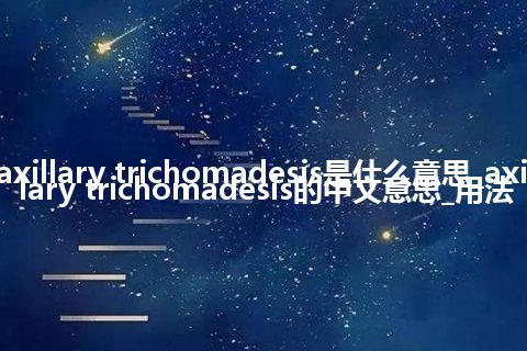 axillary trichomadesis是什么意思_axillary trichomadesis的中文意思_用法