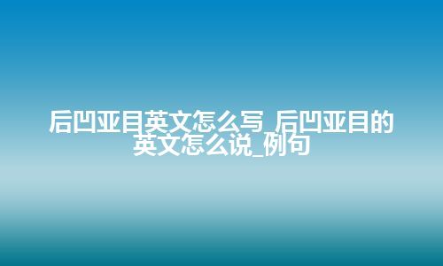 后凹亚目英文怎么写_后凹亚目的英文怎么说_例句