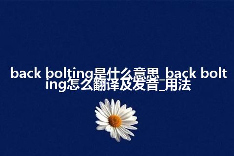 back bolting是什么意思_back bolting怎么翻译及发音_用法