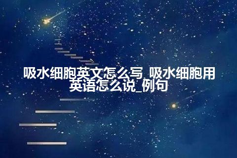 吸水细胞英文怎么写_吸水细胞用英语怎么说_例句