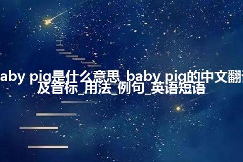 baby pig是什么意思_baby pig的中文翻译及音标_用法_例句_英语短语