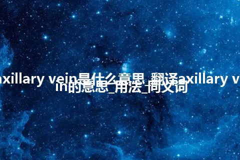 axillary vein是什么意思_翻译axillary vein的意思_用法_同义词