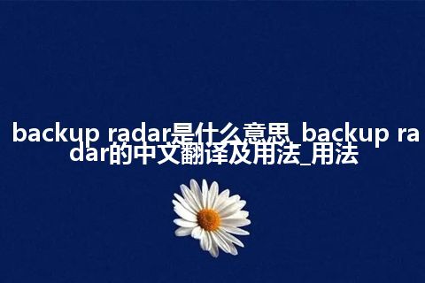 backup radar是什么意思_backup radar的中文翻译及用法_用法